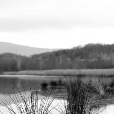IMG_2486_bis-copy