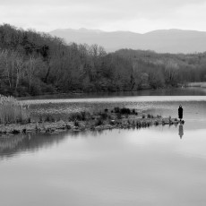 IMG_2615